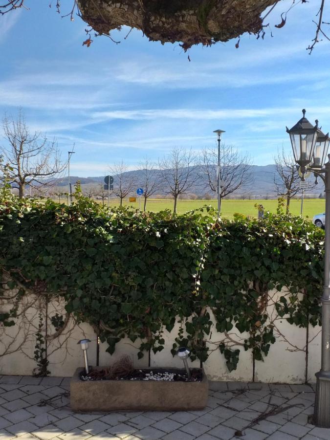 Hotel Landgasthof Adler バート・クロツィンゲン エクステリア 写真